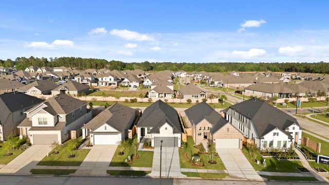 19319 Poppy Village Circle, Magnolia, TX 77355