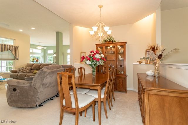 11310 S Forest Drive, Concord, OH 44077