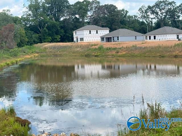 110 Starling Mill Trail, New Market, AL 35761
