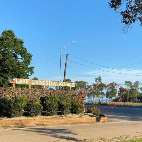 195 Lakecrest, Livingston, TX 77351