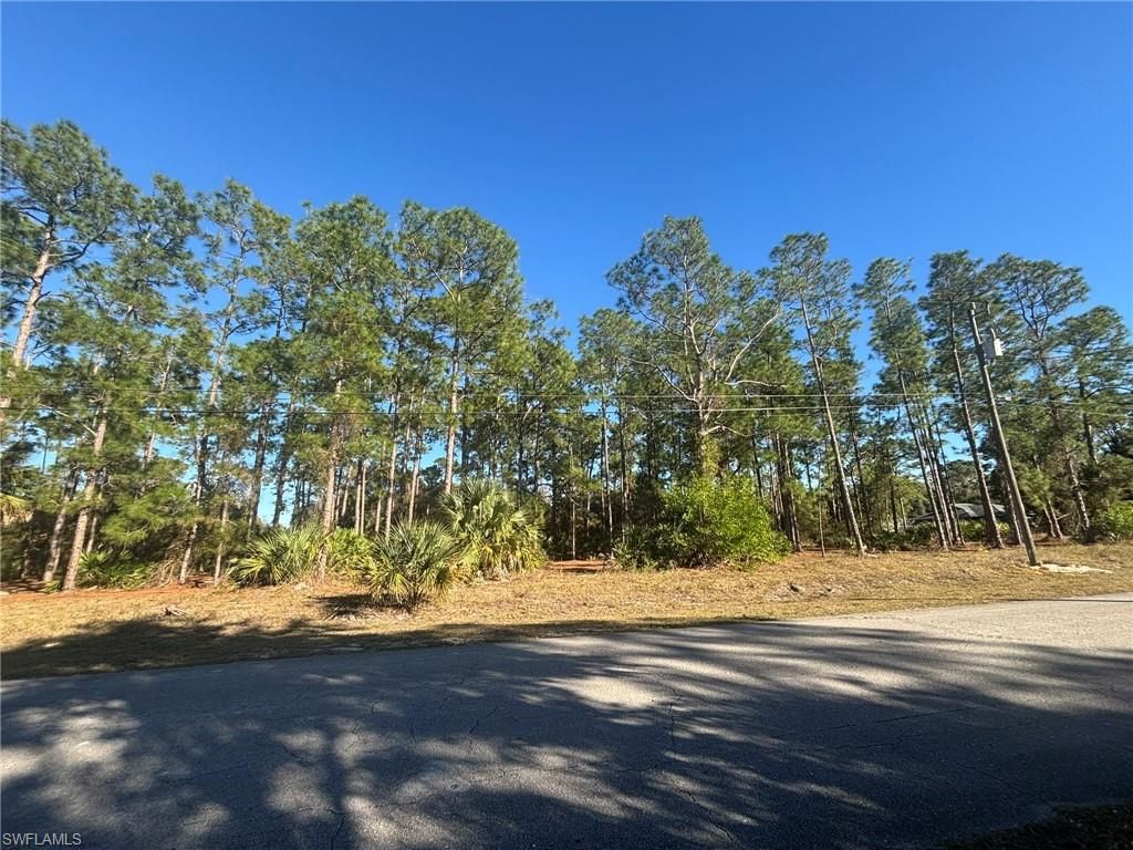 502 Canton AVE, LEHIGH ACRES, FL 33972 — exterior