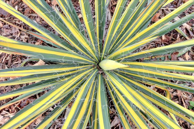 124 Ruby Ledge Ct, Grass Valley, CA 95945