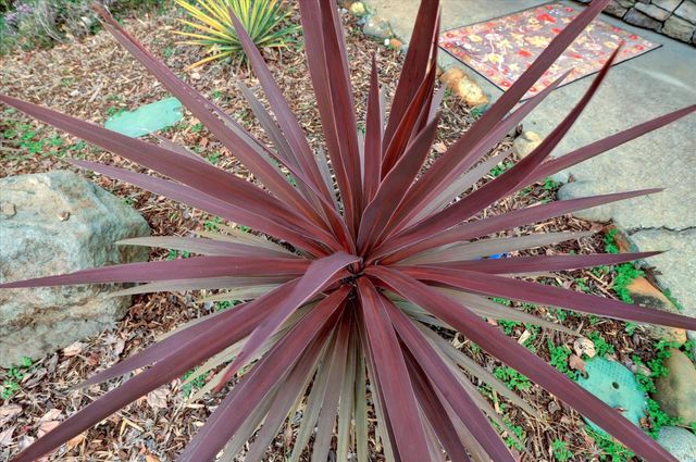 124 Ruby Ledge Ct, Grass Valley, CA 95945