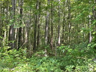 5.01 Acres County Road 285, Niota, TN 37826