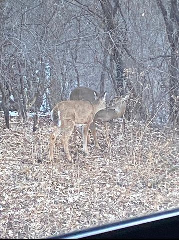 1621 City View Drive, Eagan, MN 55121