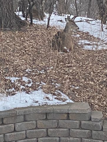 1621 City View Drive, Eagan, MN 55121