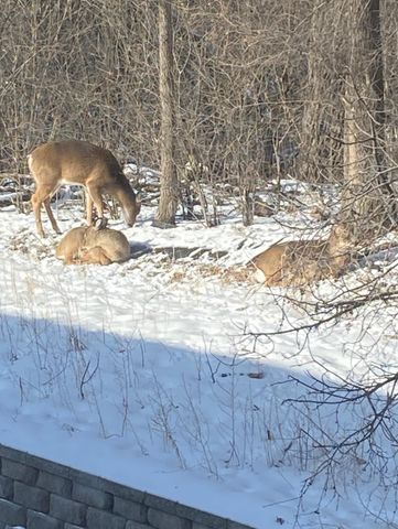 1621 City View Drive, Eagan, MN 55121