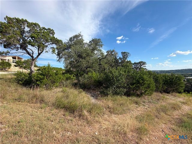 233 Enigma Avenue, Spring Branch, TX 78070
