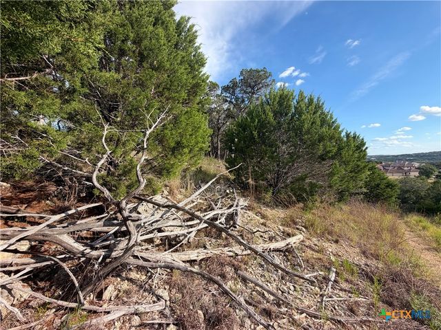 233 Enigma Avenue, Spring Branch, TX 78070