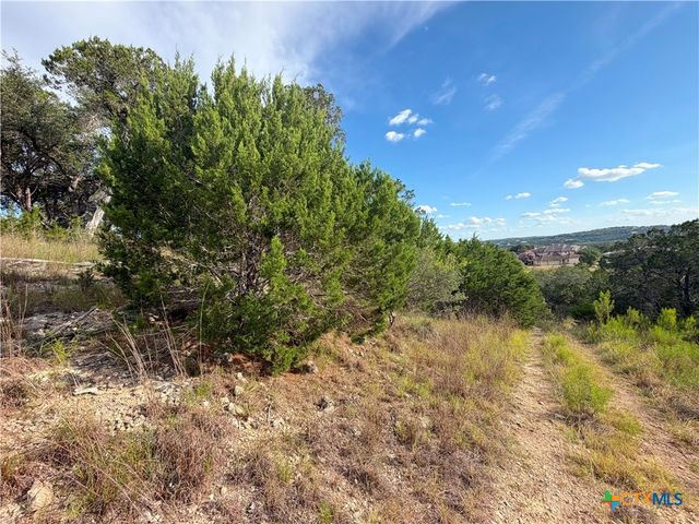 233 Enigma Avenue, Spring Branch, TX 78070