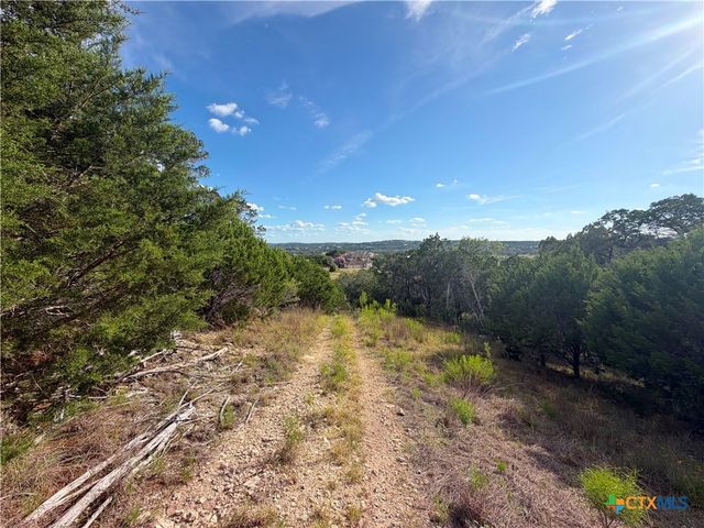 233 Enigma Avenue, Spring Branch, TX 78070