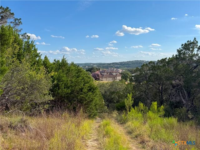 233 Enigma Avenue, Spring Branch, TX 78070