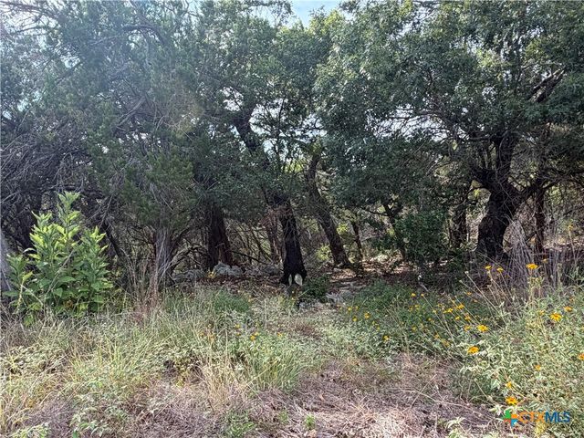 233 Enigma Avenue, Spring Branch, TX 78070