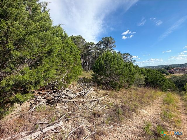 233 Enigma Avenue, Spring Branch, TX 78070