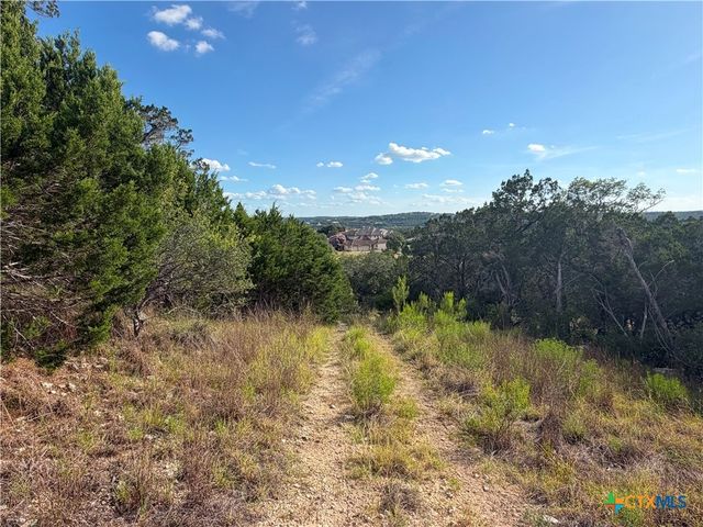 233 Enigma Avenue, Spring Branch, TX 78070