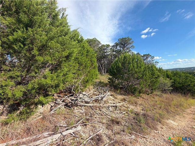 233 Enigma Avenue, Spring Branch, TX 78070