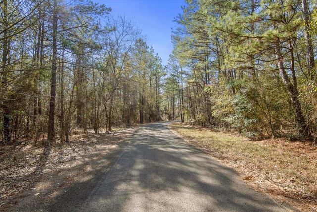 13681 Cr 201 Loop Lane, Plantersville, TX 77363