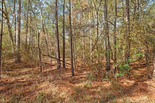 13681 Cr 201 Loop Lane, Plantersville, TX 77363