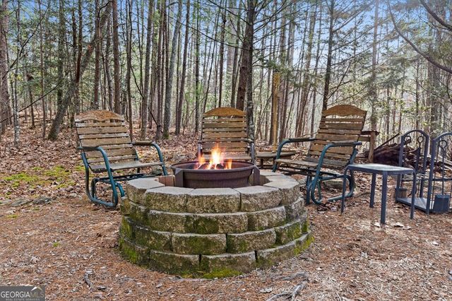 290 Turkey Trot Road, Morganton, GA 30560