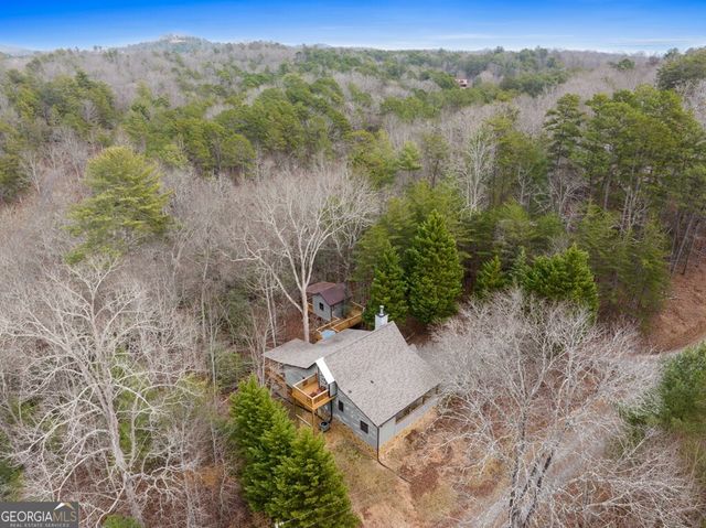 290 Turkey Trot Road, Morganton, GA 30560