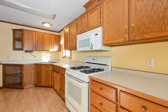 23024 S Big Run Drive, Frankfort, IL 60423