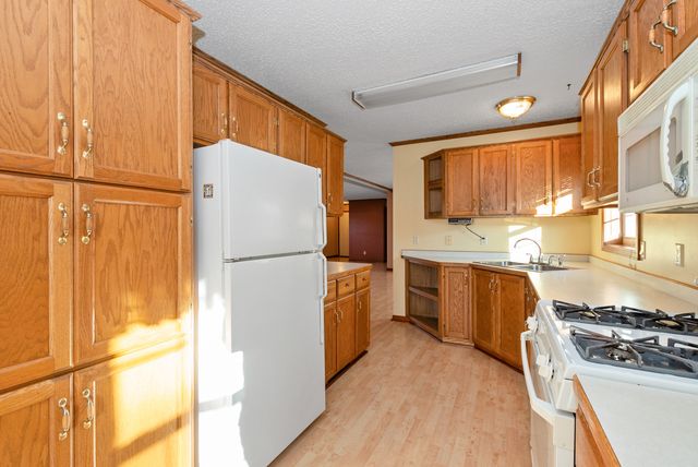 23024 S Big Run Drive, Frankfort, IL 60423