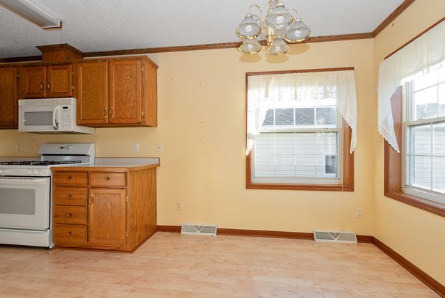 23024 S Big Run Drive, Frankfort, IL 60423