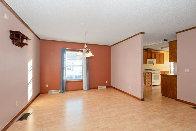 23024 S Big Run Drive, Frankfort, IL 60423