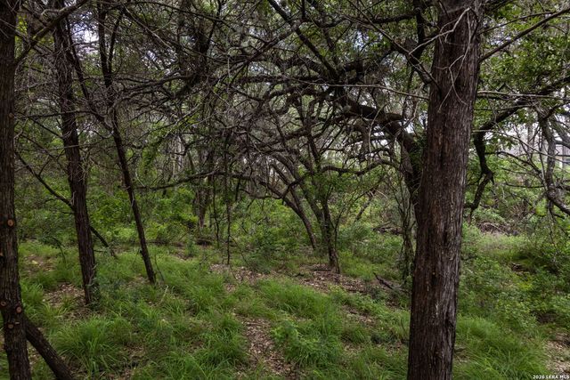 TBD Dry Creek Crossing, New Braunfels, TX 78130