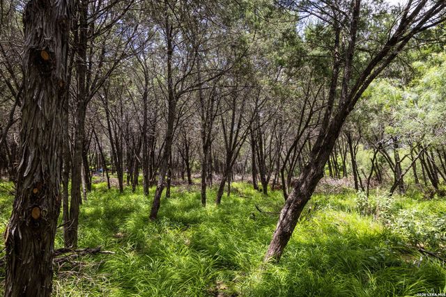TBD Dry Creek Crossing, New Braunfels, TX 78130