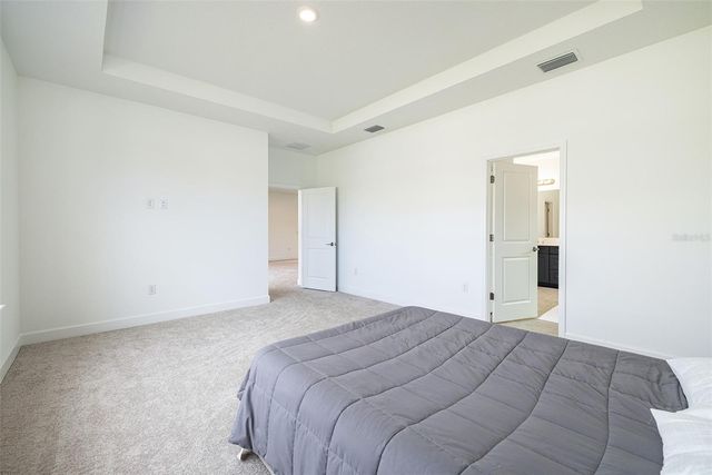 13699 CANNON DRIVE, Odessa, FL 33556