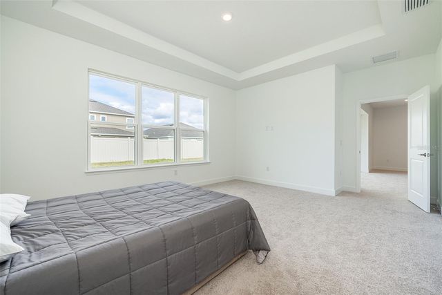 13699 CANNON DRIVE, Odessa, FL 33556