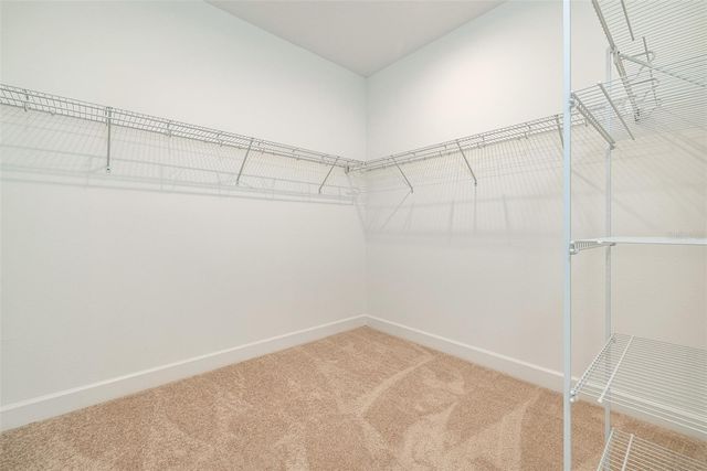 13699 CANNON DRIVE, Odessa, FL 33556