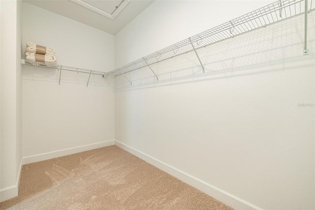 13699 CANNON DRIVE, Odessa, FL 33556