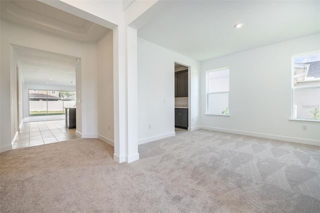 13699 CANNON DRIVE, Odessa, FL 33556