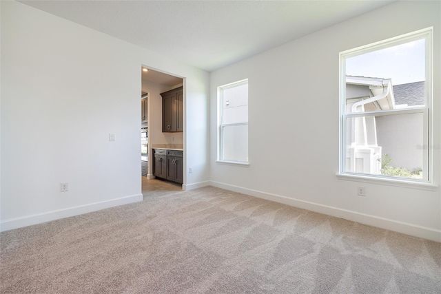 13699 CANNON DRIVE, Odessa, FL 33556