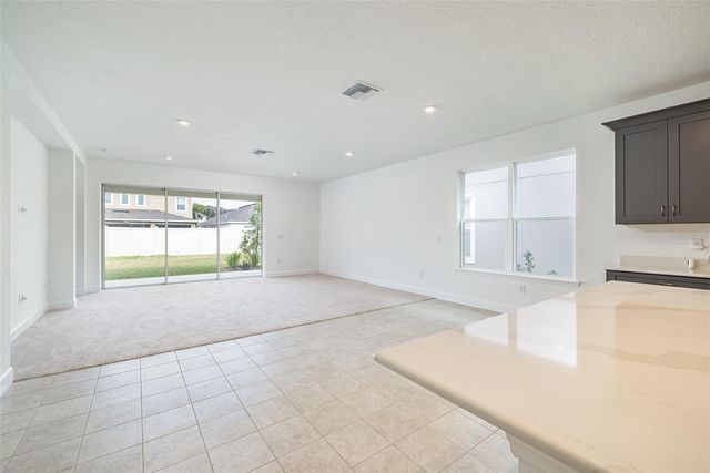 13699 CANNON DRIVE, Odessa, FL 33556