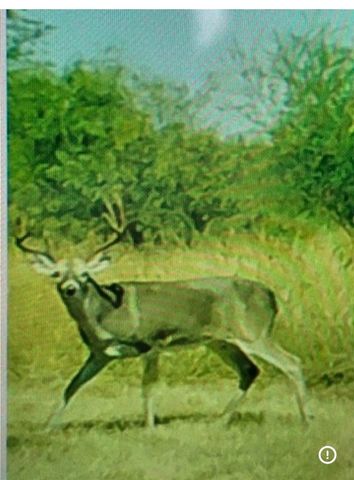 14244 County Road 1144, Sinton, TX 78387