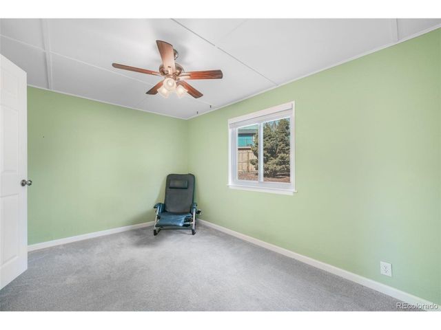 156 Johnson Pl, Castle Rock, CO 80104