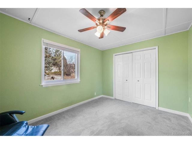 156 Johnson Pl, Castle Rock, CO 80104