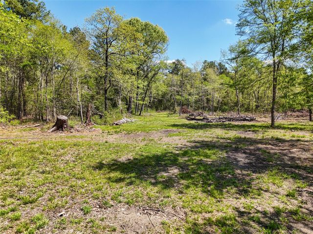275 Pashun Lane, New Waverly, TX 77358