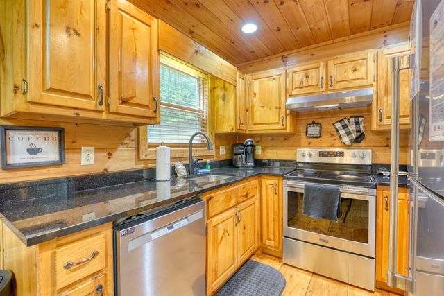 1564 Black Ankle Creek Road, Cherry Log, GA 30522