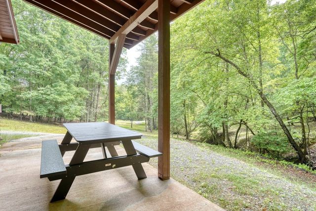 1564 Black Ankle Creek Road, Cherry Log, GA 30522