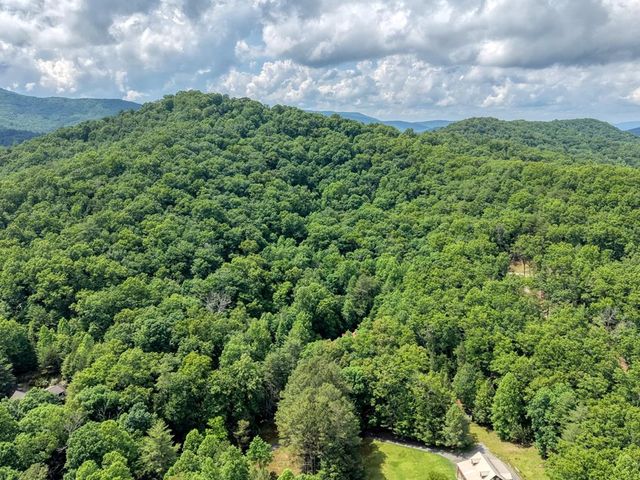 1564 Black Ankle Creek Road, Cherry Log, GA 30522