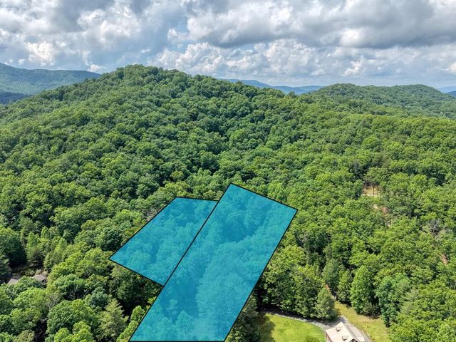 1564 Black Ankle Creek Road, Cherry Log, GA 30522