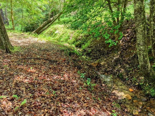 1564 Black Ankle Creek Road, Cherry Log, GA 30522