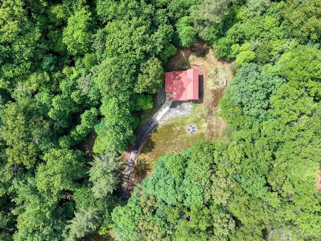 1564 Black Ankle Creek Road, Cherry Log, GA 30522