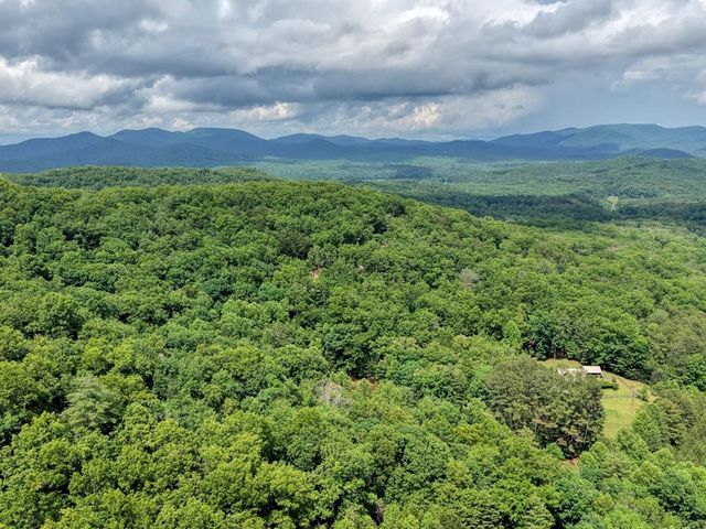 1564 Black Ankle Creek Road, Cherry Log, GA 30522