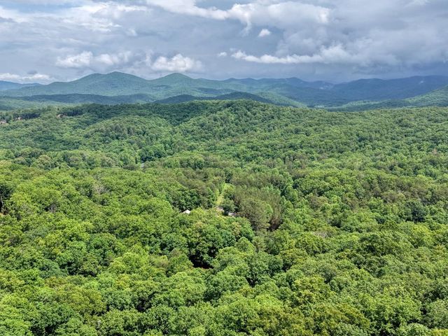 1564 Black Ankle Creek Road, Cherry Log, GA 30522