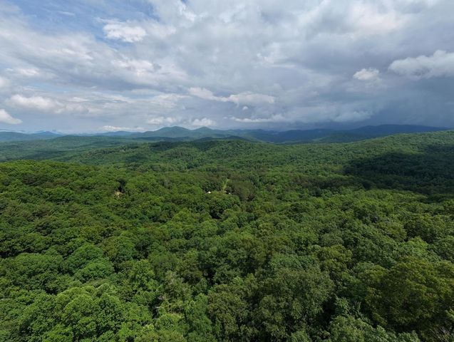 1564 Black Ankle Creek Road, Cherry Log, GA 30522